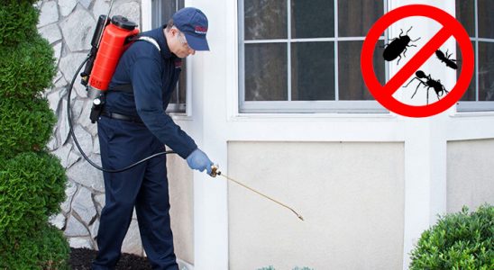 Evka 7 Uçan Haşere İlaçlama böcek ilaçlama ve haşere kontrolü — ilaclama-tr.com